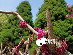 -白塘生态植物园