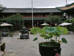 -真庆观