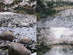 -上海辰山植物园
