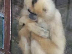 -昆明动物园
