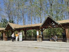 -合肥滨湖国家森林公园