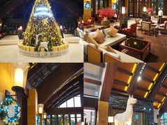 -三亚湾海居铂尔曼度假酒店