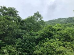 -神农架景区