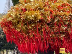 -狼山风景名胜区