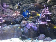 -成都浩海立方海洋公园