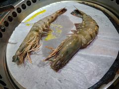 -熊出没日本烧肉放题