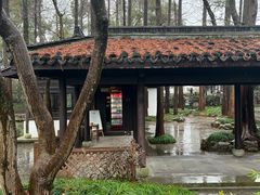 -山外山菜馆(玉泉路店)