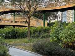 -人民公园(罗湖区)