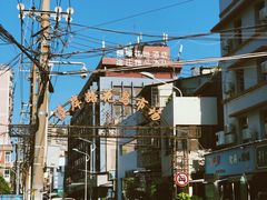 -溪岸路花鸟市场