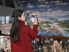 -自贡恐龙博物馆