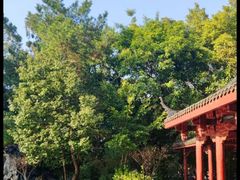 -西湖公园(鼓楼区)