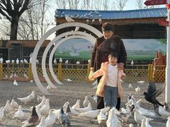 -1982农场