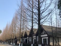 -太阳岛度假酒店