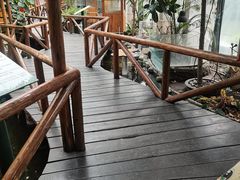 -上海大自然野生昆虫馆(东方明珠·爬宠昆虫探索中心)
