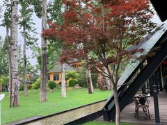 -禧宴Joyous Restaurant(禧园店)