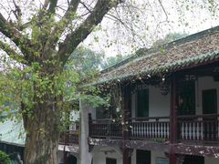 -南华禅寺