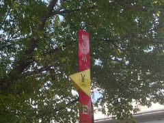-荔湾湖公园