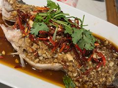 -杨氏青龙虾·羊蝎子(金盛路总店)