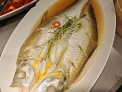 清蒸白鱼-姑苏家宴·苏帮菜·松鼠桂鱼(苏州总店)