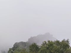 -白草畔自然风景区