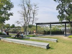 -上海长兴岛郊野公园