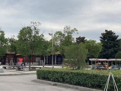 -南湖湿地公园