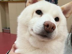 -和它·交个朋友·狗咖猫咖(爱琴海店)