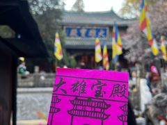 -盘龙寺