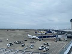 -中部国际机场