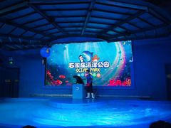 -石家庄海洋公园