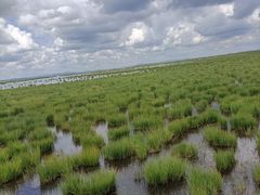 -花湖生态旅游区