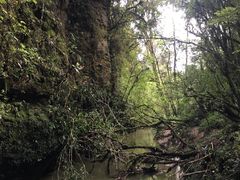 -怀托摩萤火虫洞