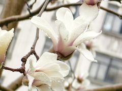 -上海电影博物馆
