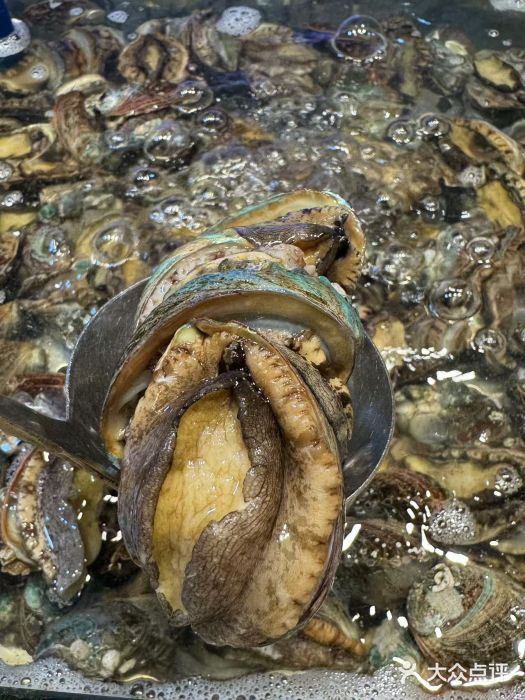 领鲜活海鲜榴莲自助火锅(东门店)图片