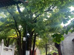 -红螺寺