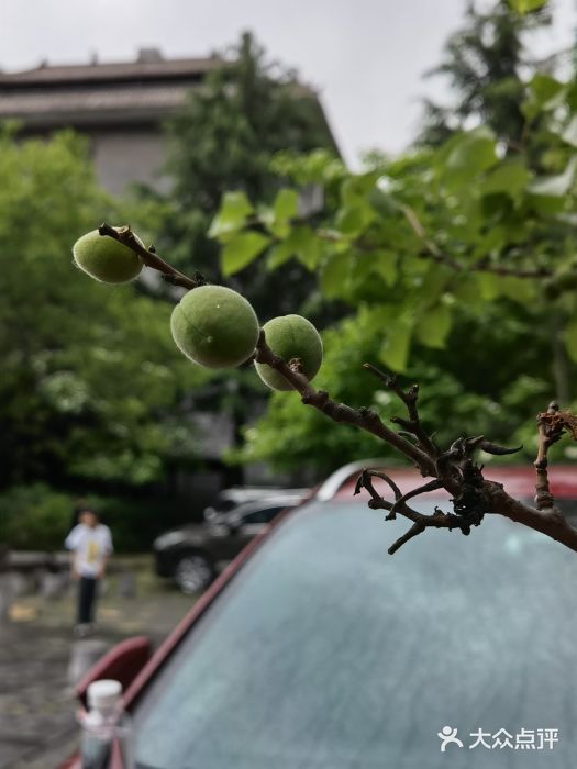 齐王寨景区图片
