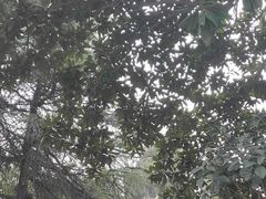 -安徽医科大学-图书馆