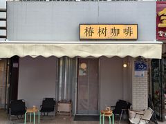 -椿树咖啡