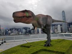 -海港城