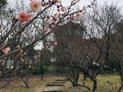 -无锡梅园公园