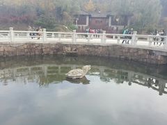 -白马涧龙池景区