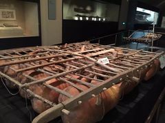 展品-上海中国航海博物馆