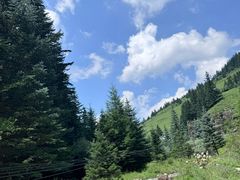 -芦芽山旅游度假区