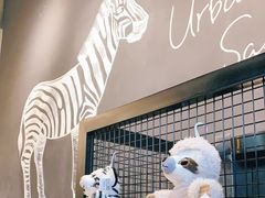-ZOO COFFEE动物园咖啡(望京锐创店)