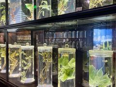 -广东中医药博物馆