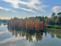 -白鹭湾湿地公园