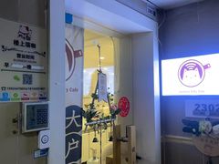 -楼上猫咖(罗湖店)