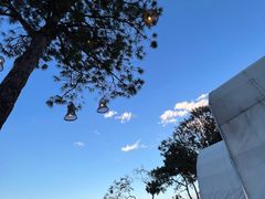 -云禾壹海景庄园餐厅