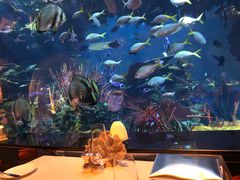 -迪拜帆船酒店海底餐厅