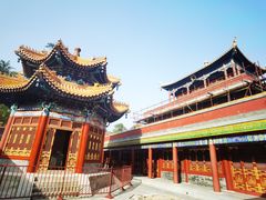 -香山公园